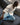 White, Pale Blue, Black, Butter