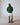 Ash Grey, Faded Green, Navy, Black
