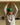 Navy, Signature Green, Brown, Black, Cobalt, Tree Camo, Hunter Orange